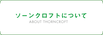 ソーンクロフトについて