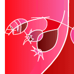 �C���[�W�C���X�g