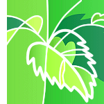 �C���[�W�C���X�g