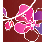 �C���[�W�C���X�g