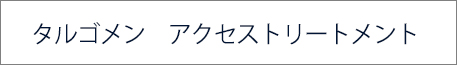 タルゴメン　アクセストリートメント